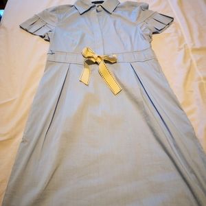 BCBG blue shirt dress